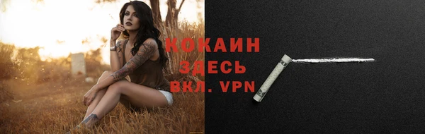 амф Арсеньев