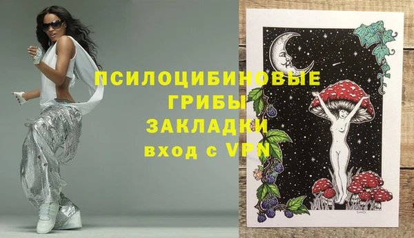амф Арсеньев