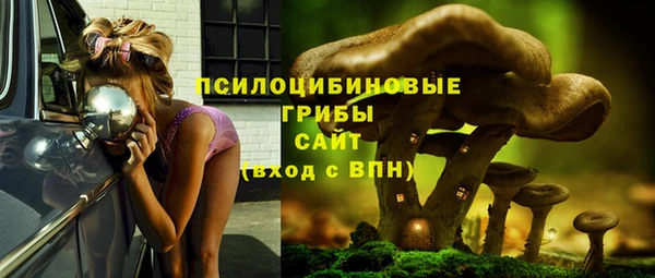 прущий лед Аркадак