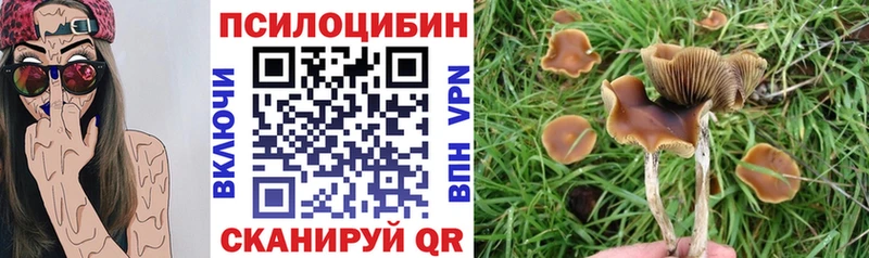 Псилоцибиновые грибы GOLDEN TEACHER  Теберда 
